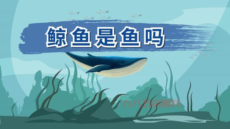 鲸鱼是鱼吗？ 海马才是真正的鱼！