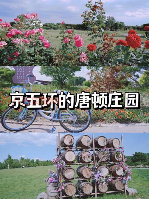 梦幻庄园APP：种花养宠，打造属于你的梦幻庄园！