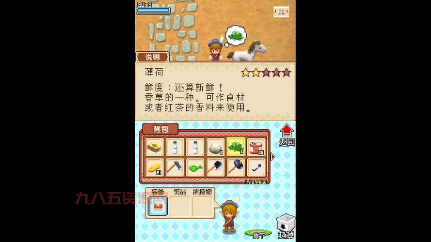 牧场物语风之集市下载：体验模拟经营游戏的乐趣