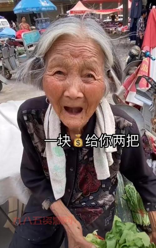 宫爆老奶奶安卓9破解版：解决你的困惑，带你玩转老奶奶！