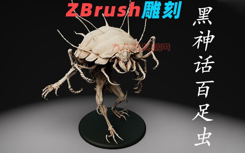 CF新手秘籍：从零开始，快速入门！
