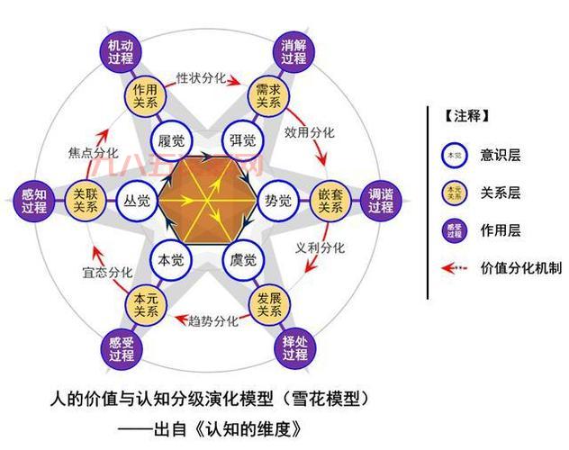半神配置深度分析：不同配置体验大不同！