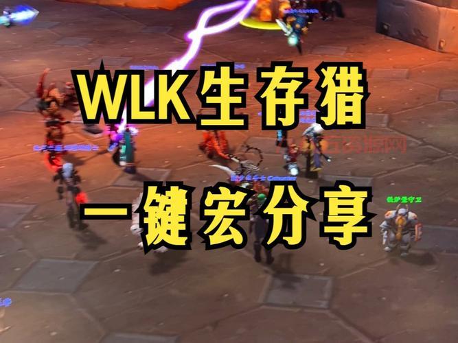 WLK焦点嫁祸宏：详细教程，助你轻松掌握嫁祸诀窍！