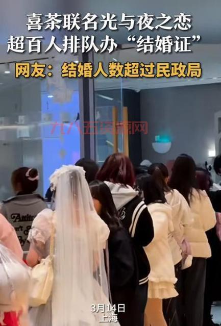 落樱小屋1正版：清新二次元恋爱养成手游，开启甜蜜恋爱之旅