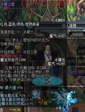 DNF冰魄之魂：辅助输出新选择，提升伤害更上一层楼