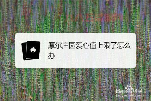 摩尔庄园爱心值上限是多少？每日获取爱心值攻略