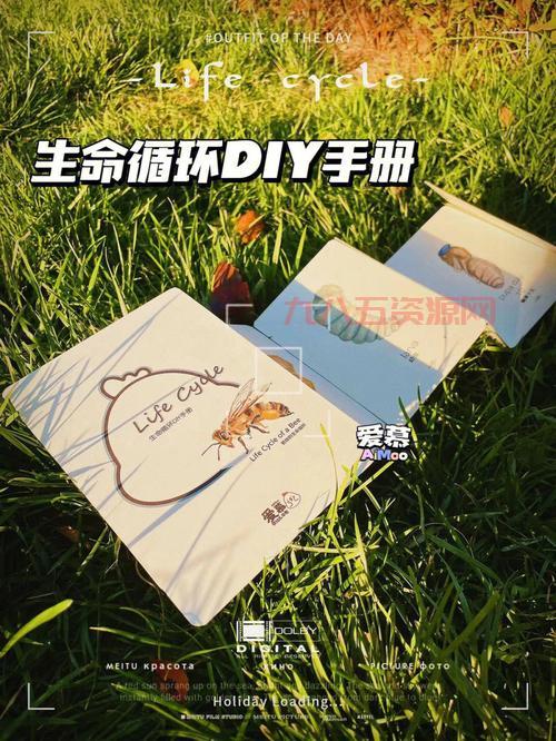魔羽加点大揭秘：如何打造最强输出与生存！