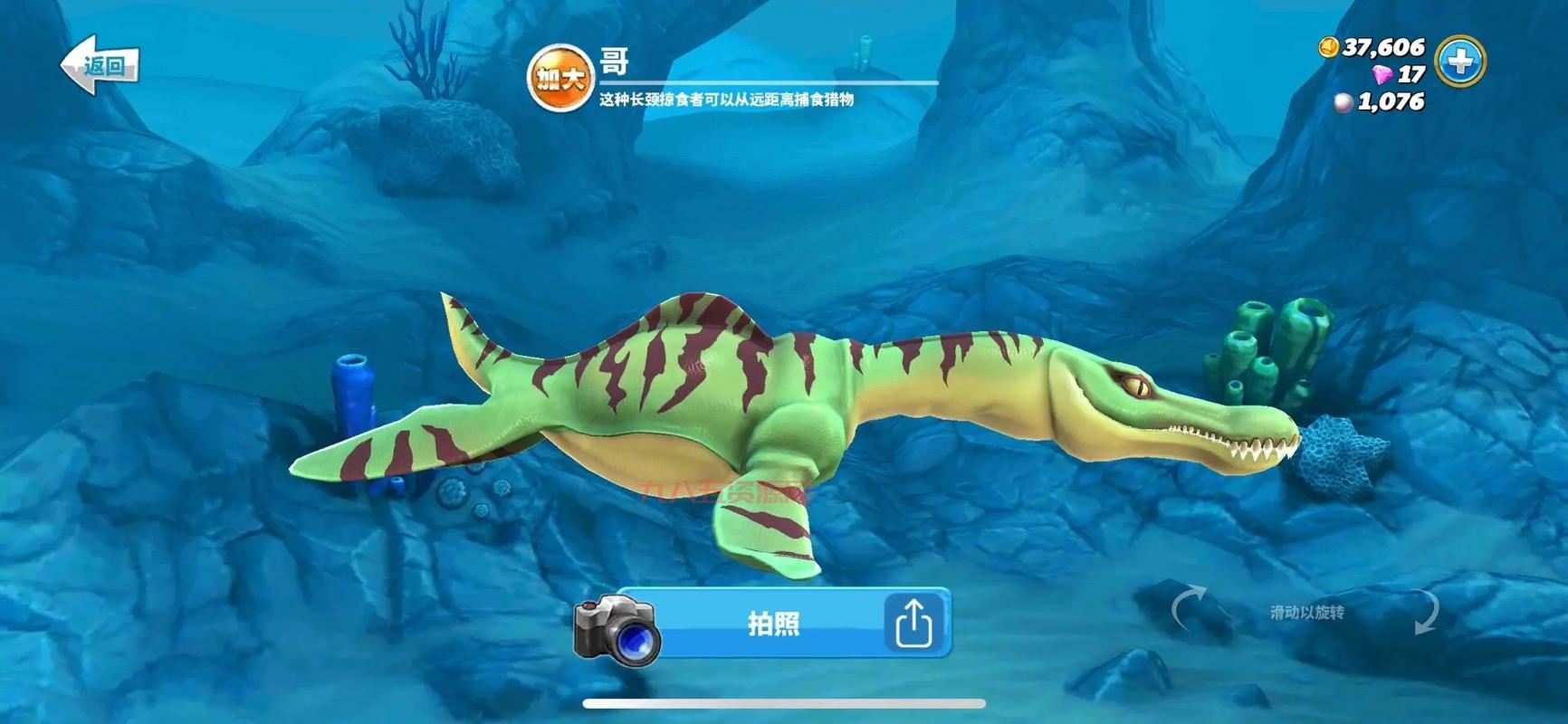 饥饿鲨世界：超过百种生物，尽情体验海洋捕猎！