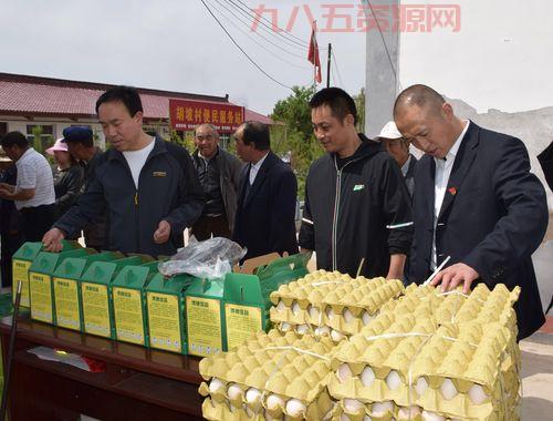 16位博士扎根河南胡坡村，共同打造新材料研究院