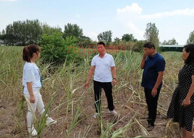 16位博士扎根河南胡坡村，共同打造新材料研究院