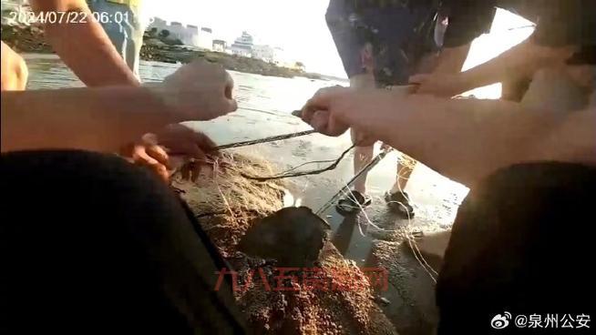 男孩送“宝贝”鲎到警察局，温岭民警紧急处理