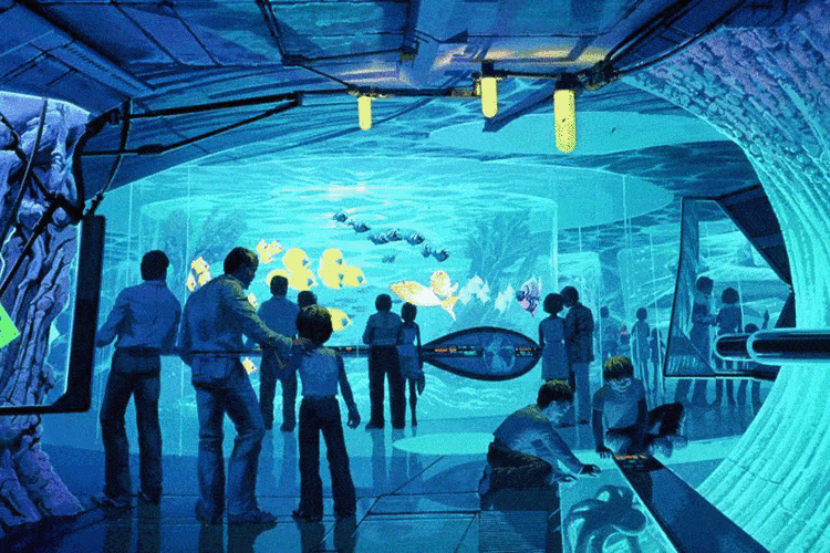 打卡失重空间：体验沉浸式奇幻之旅