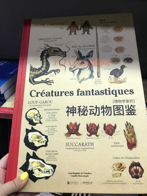 世界怪物图鉴：探索神秘生物的全面指南