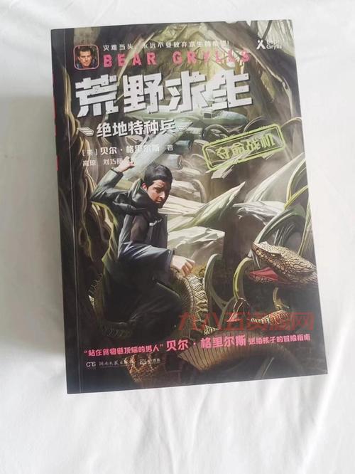 斗战神玲珑宝塔任务攻略：挑战100层的极限考验