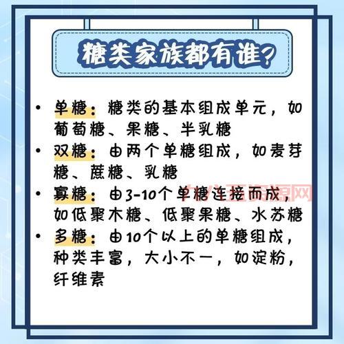什么是乳糖？了解它的成分、来源及应用领域