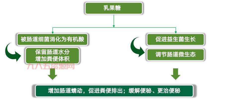 什么是乳糖？了解它的成分、来源及应用领域