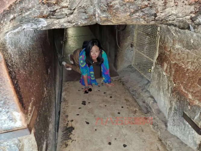 劳拉与奥西里斯神庙：联机合作挑战埃及古墓探险