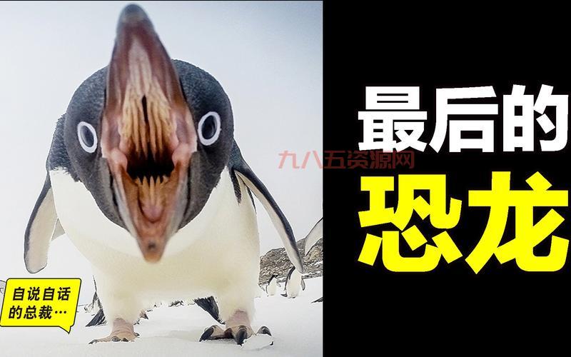 探索“飞翔的企鹅”之谜：原来是这只独特的鸟！