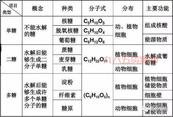 深度解析麦芽糖水解反应：生成葡萄糖的科学原理