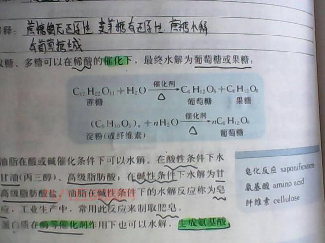深度解析麦芽糖水解反应：生成葡萄糖的科学原理