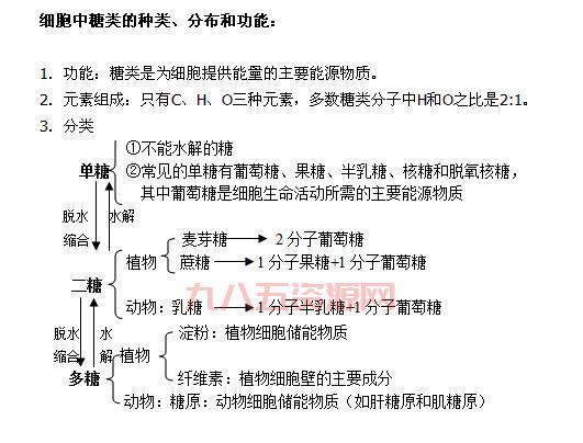深度解析麦芽糖水解反应：生成葡萄糖的科学原理