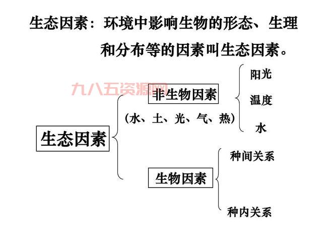 斧头虫简介：从形态特征到对生态环境的影响