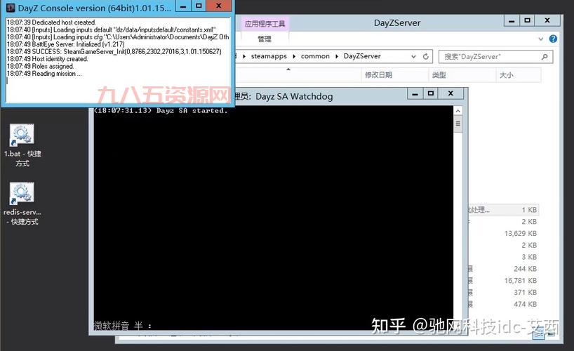 如何实现DayZ盗版联机？详细教程揭秘