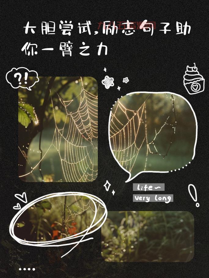 别再盲目尝试！第七夜攻略助你一臂之力