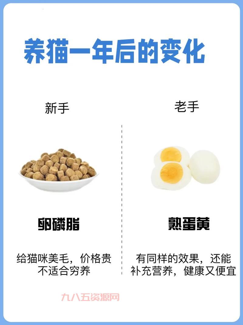 卡兹克大乱斗出装推荐，新手老手都适用的最强出装