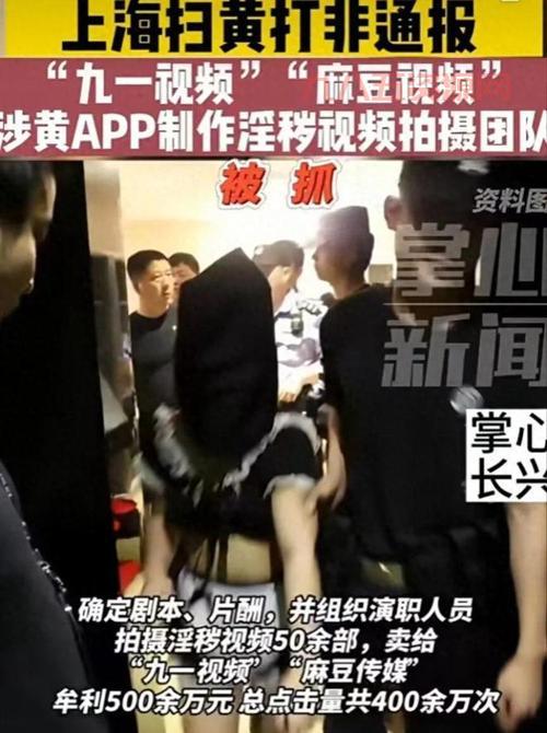 性传媒：揭秘麻豆传媒背后的真实故事