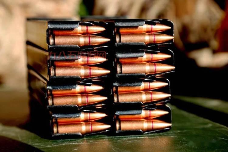 命运战士3血腥战斗与射击技巧全解析