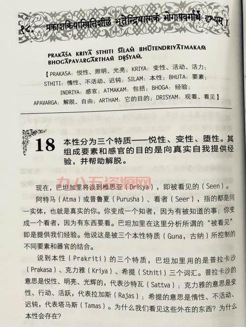 Wii Fit 游戏介绍：瑜伽、力量训练与健康生活的完美结合