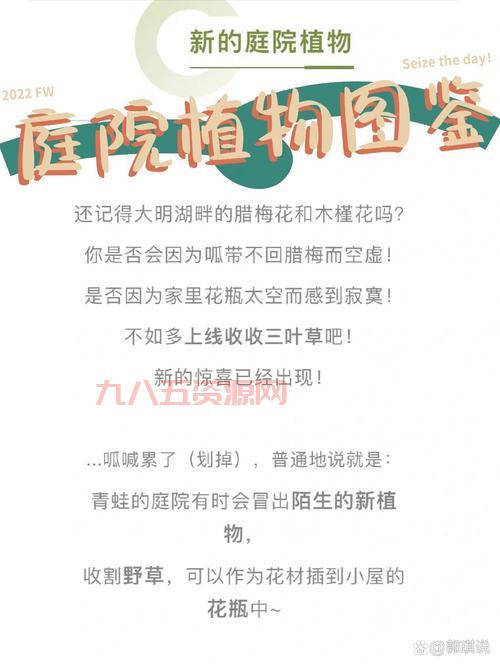 旅行青蛙攻略在哪看？这几个地方的攻略超赞！