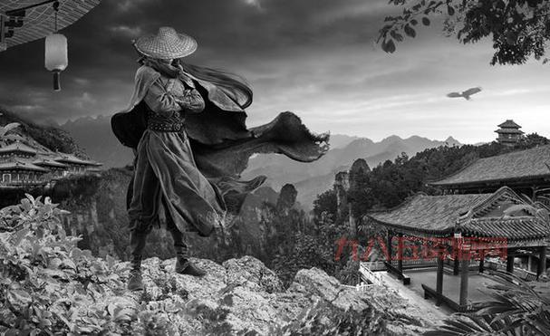 侠客风云传降龙十八掌获取攻略：任务与剧情详解
