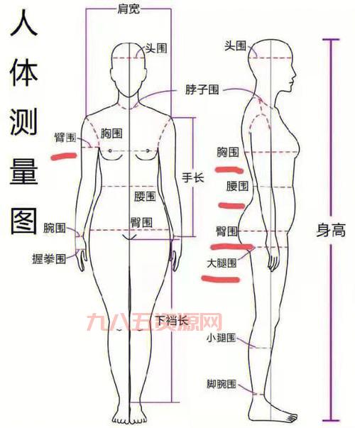 三围计算公式详解：如何准确测量胸围、腰围和臀围