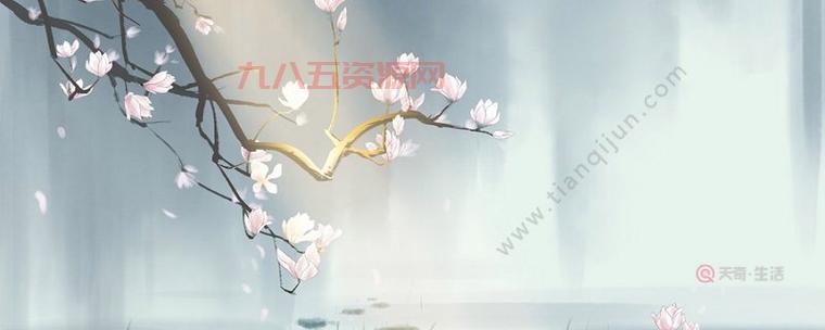 孤芳自赏什么意思？揭示孤芳自赏的真正含义
