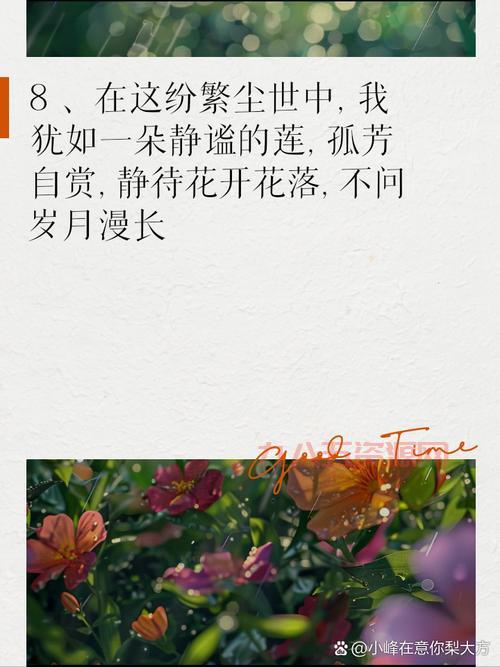 孤芳自赏什么意思？揭示孤芳自赏的真正含义