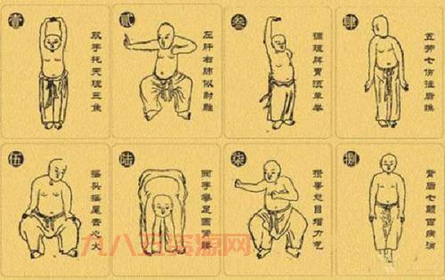 揭秘少林易经经的武学智慧与修炼技巧