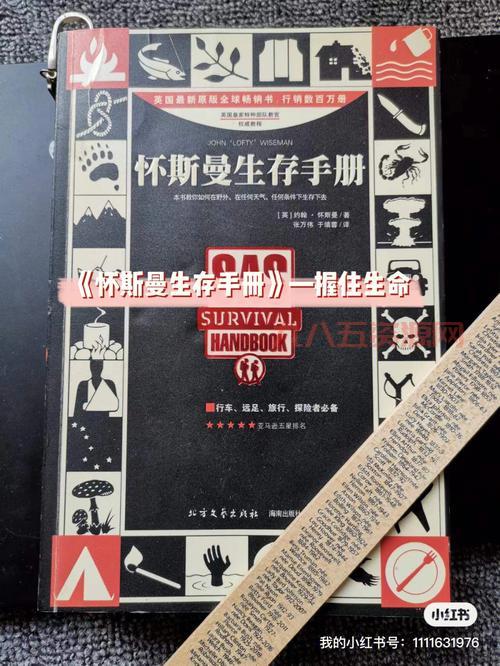 孤岛惊魂2图文攻略：必看生存技巧与战斗策略