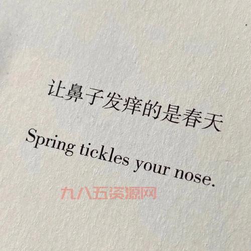 微信圈子是微信朋友圈吗