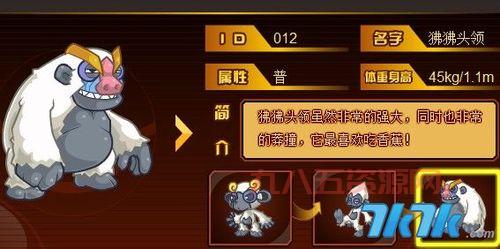 探索少年精灵王的精灵世界：全精灵资料汇总