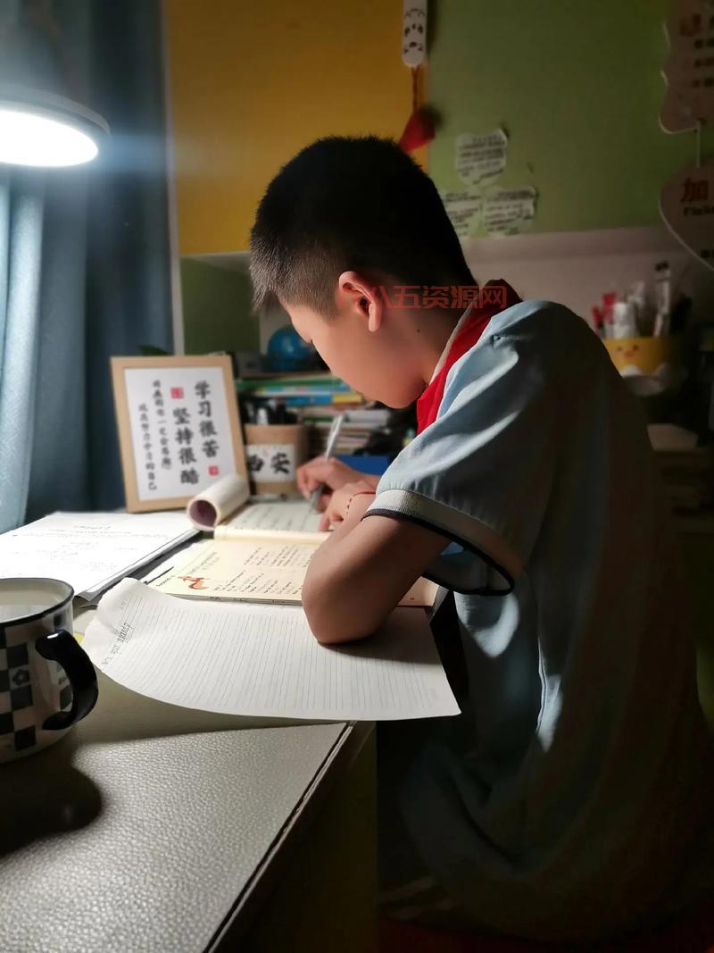 生而耀眼我很抱歉：探讨光芒与孤独的交错人生