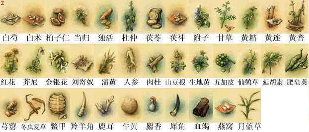 武林群侠传全攻略：探索江湖秘境与秘籍
