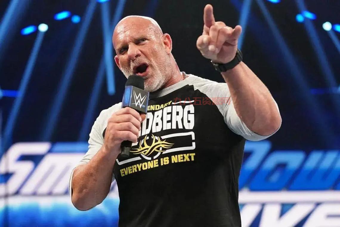 WWE职业摔跤联盟中文版手游，操作巨星释放必杀技！