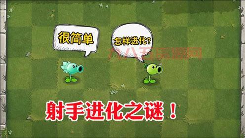 植物大战僵尸中的豌豆射手：玩法与策略解析