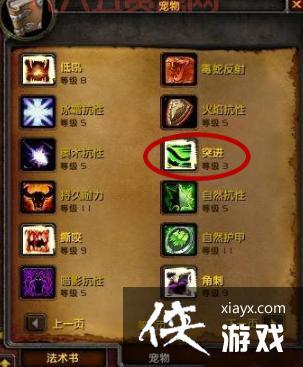 tbc猎人宝宝排行大揭秘！看看哪个宝宝最实用！