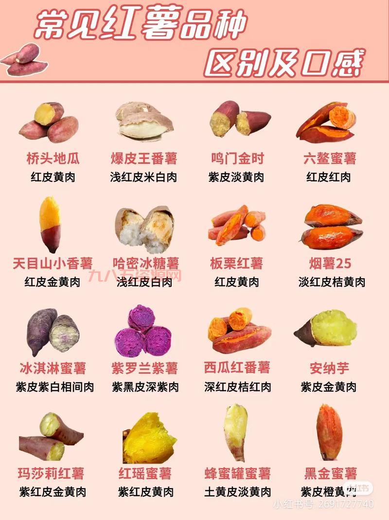 红苕是什么？从红薯到地瓜的多种称谓揭秘