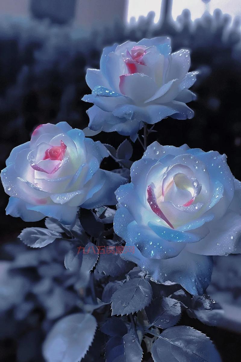 曼陀罗花语是什么？不同颜色曼陀罗花语详解