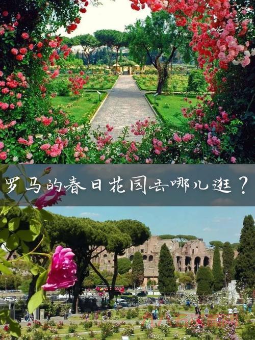 罗马之子哪里可以下载？绿色学习版资料免费分享带你玩转罗马