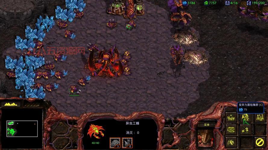 玩转星际争霸1重制版，这些秘籍你必须知道！